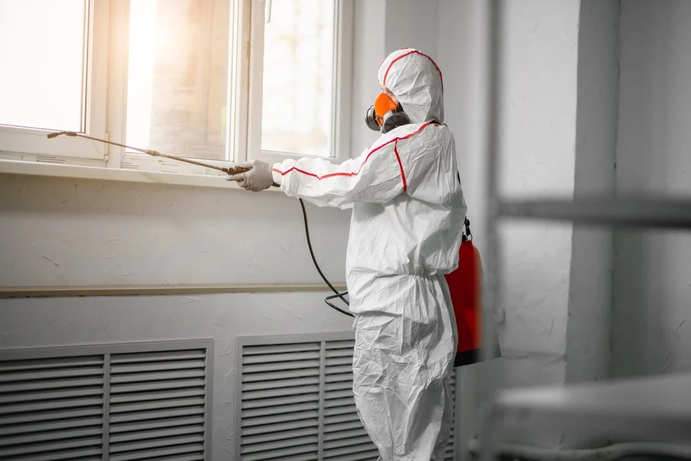Professional mold remediation services in Dunbridge, OH